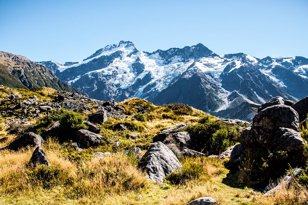 Nouvelle-Zélande - Mont Cook #3