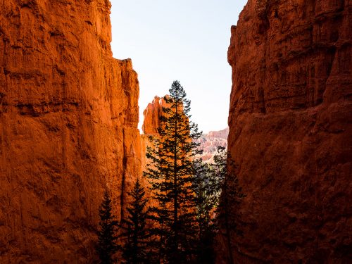 #62 USA – Bryce Canyon NP #9