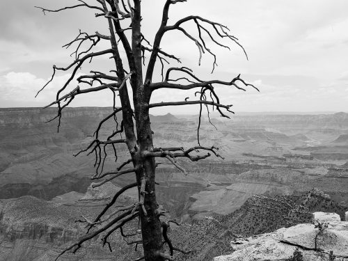 #86 USA – Grand Canyon NP #3